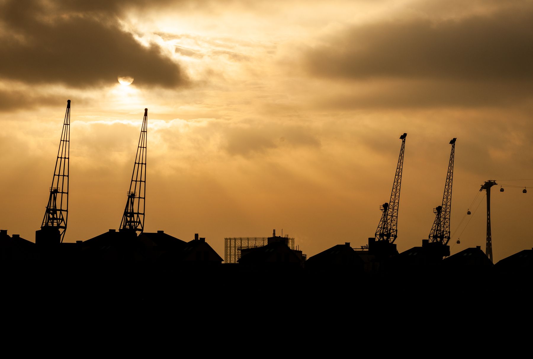Tower cranes above a major London construction programme at dusk